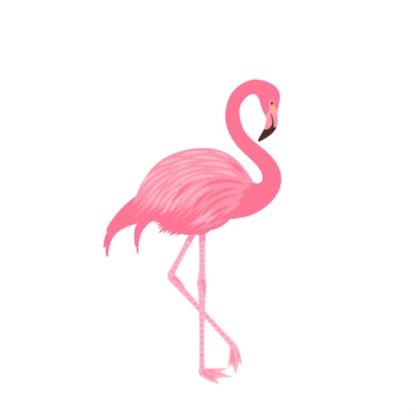 acuteflamingo